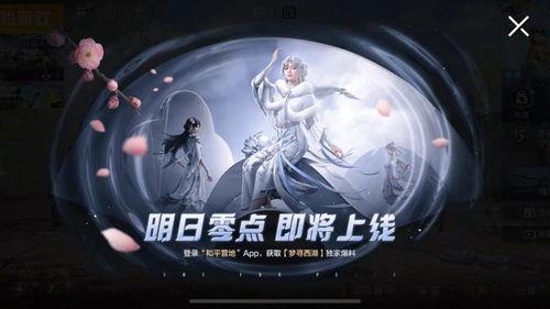 吃鸡人物皮肤爆料最新,吃鸡人物皮肤全新爆料，视觉盛宴即将来袭！