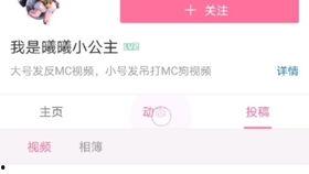 单抽小公主视频大全爆料,视频大全爆料背后的精彩故事